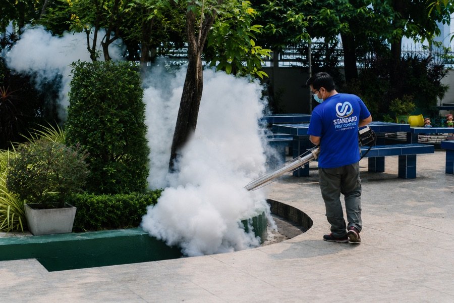 Best Mosquito Control Tips for Apartments