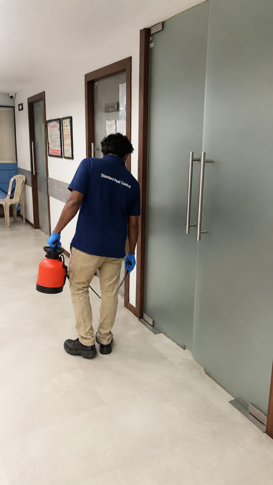 Pest control treatment result Bangalore
