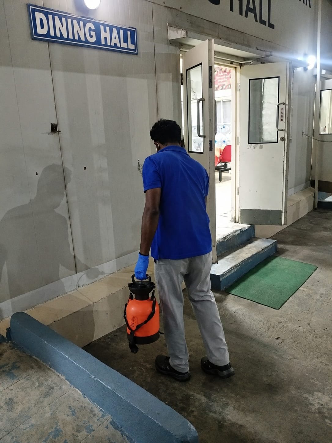 Pest control treatment result Bangalore