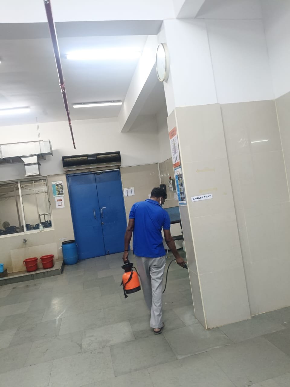 Pest control treatment result Bangalore