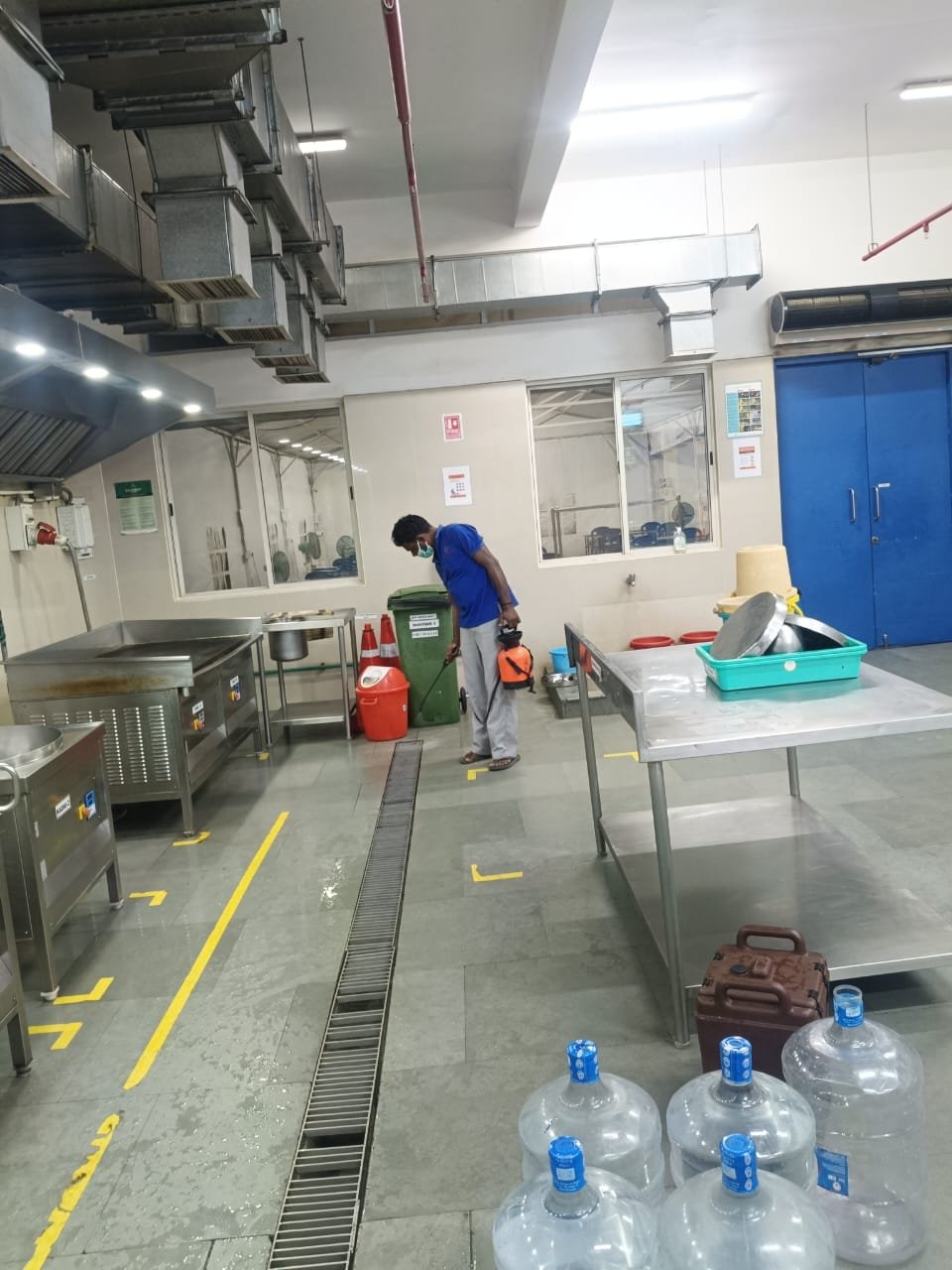 Pest control treatment result Bangalore