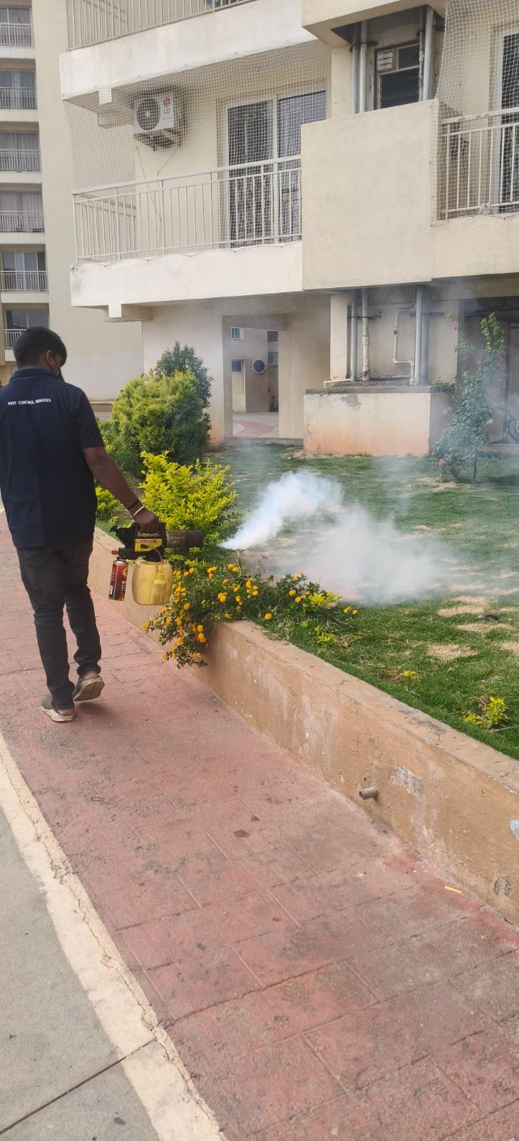 Pest control treatment result Bangalore