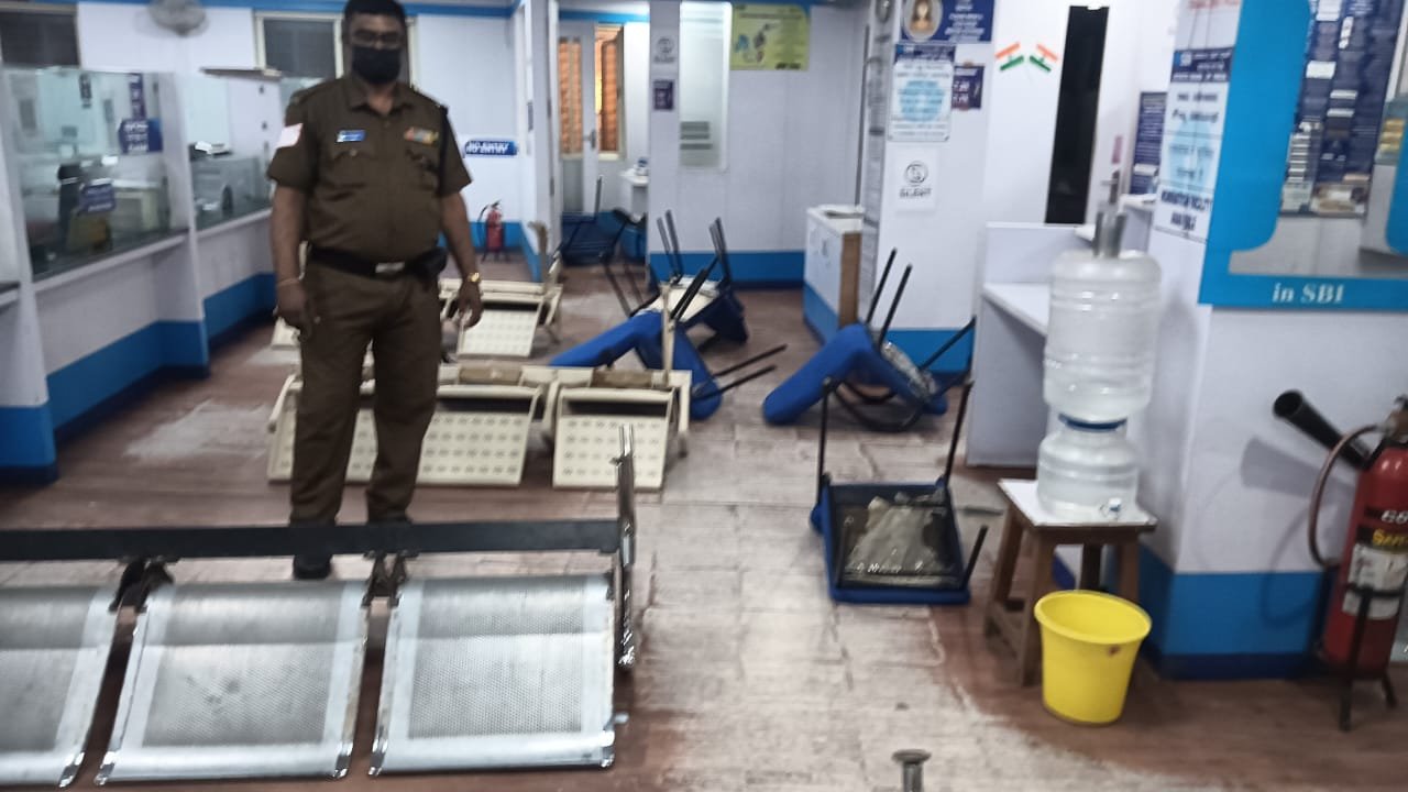 Pest control treatment result Bangalore