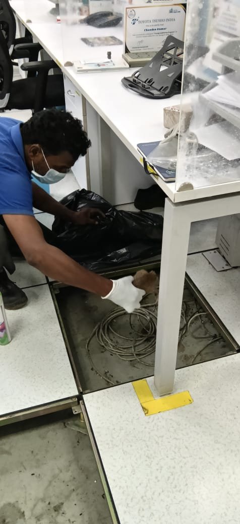 Commercial pest control Bangalore