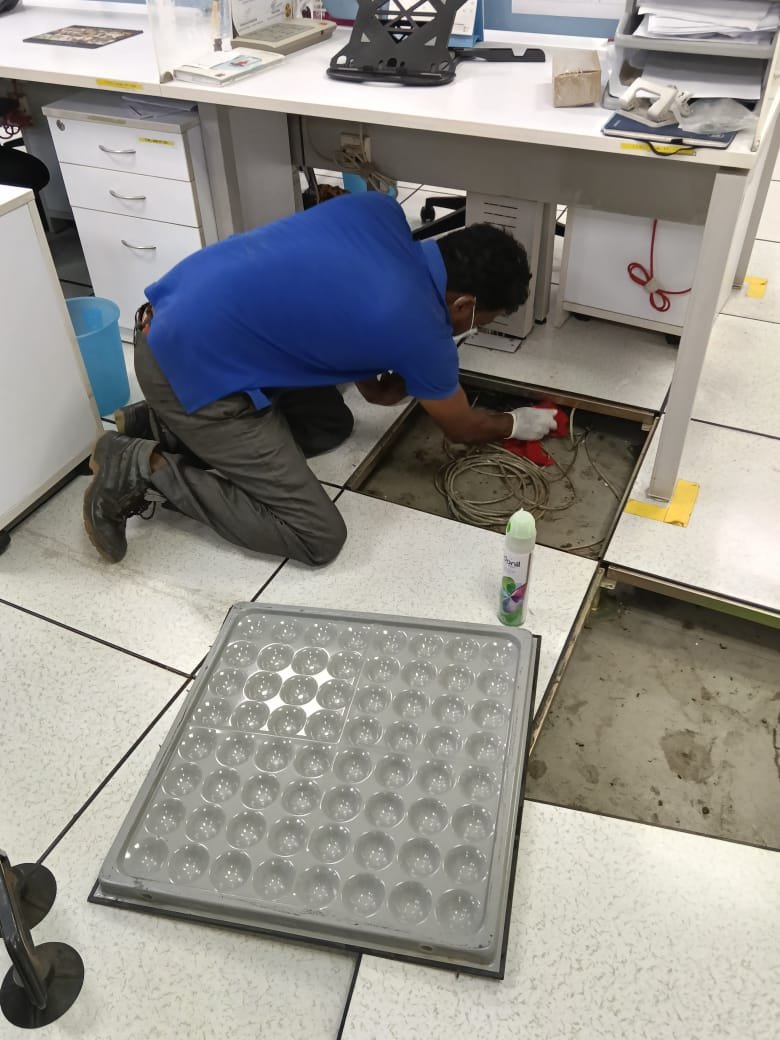 Commercial rodent treatment Akshayanagar