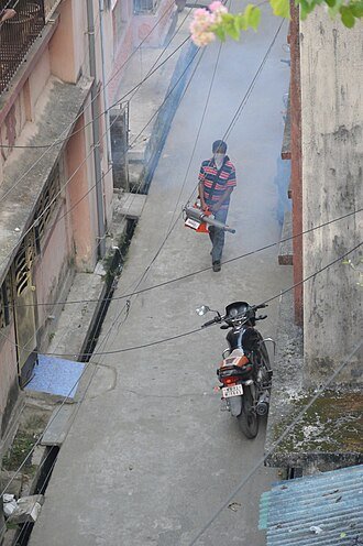 Mosquito fogging treatment Bangalore
