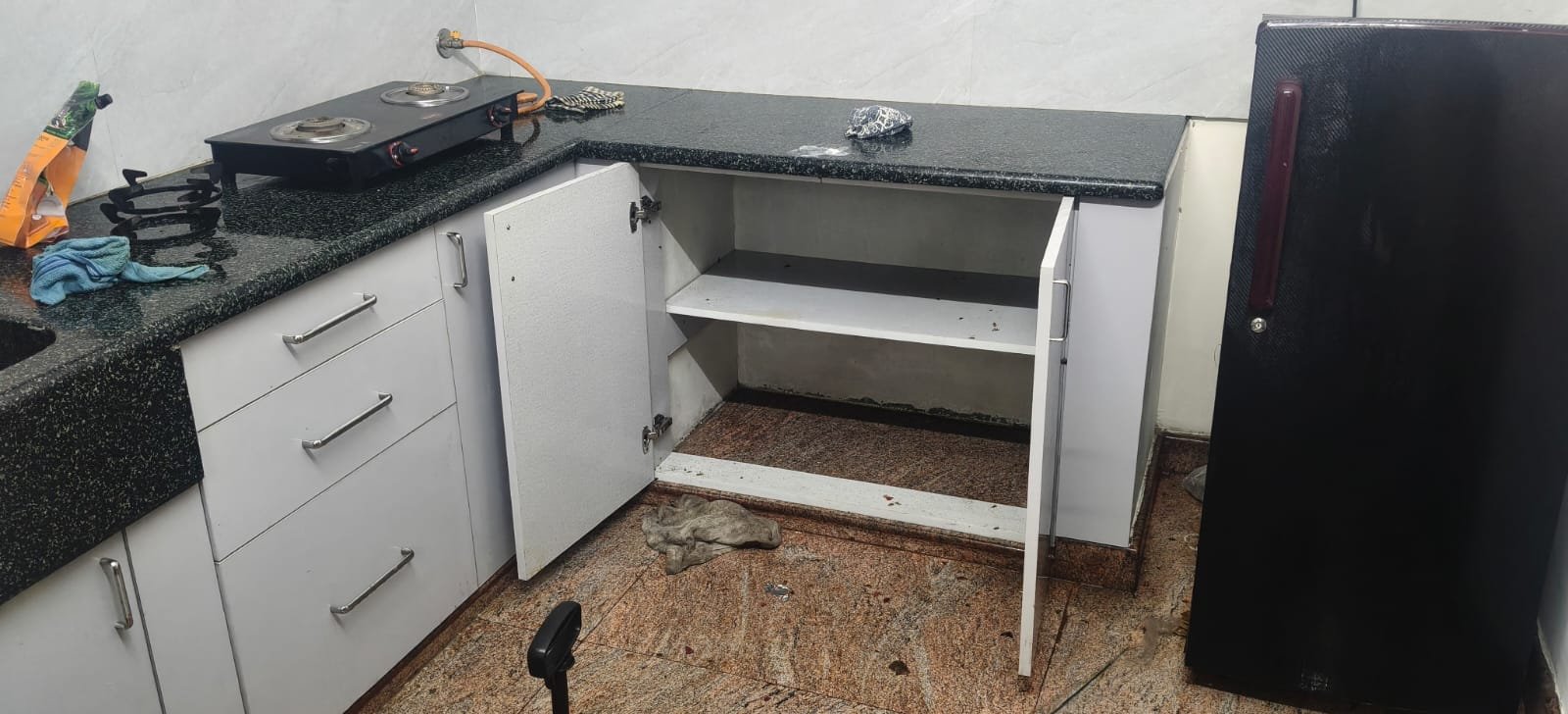 Real rodent treatment result Bangalore