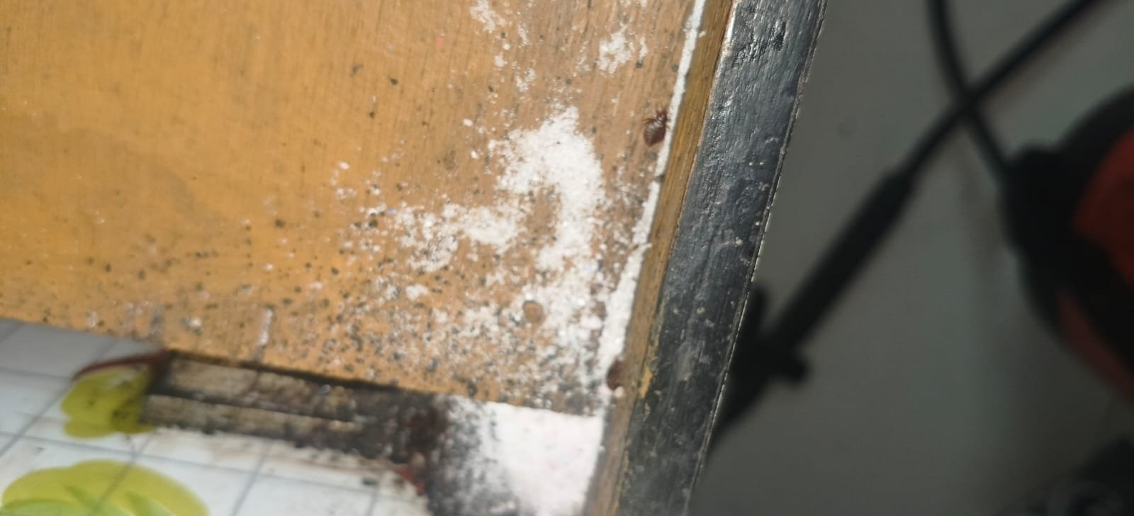 Pest control treatment result Bangalore