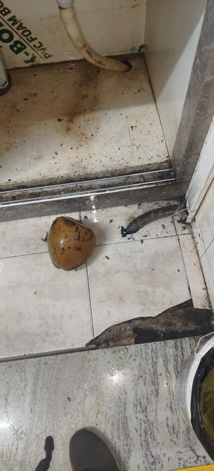 Pest control treatment result Bangalore