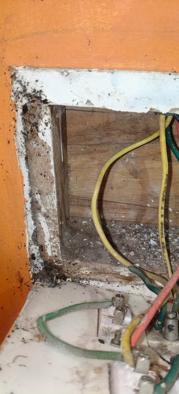 Pest control treatment result Bangalore