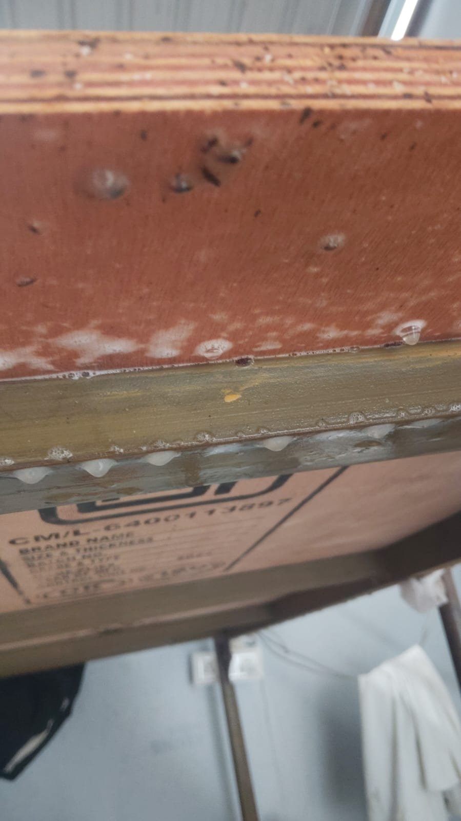 Pest control treatment result Bangalore