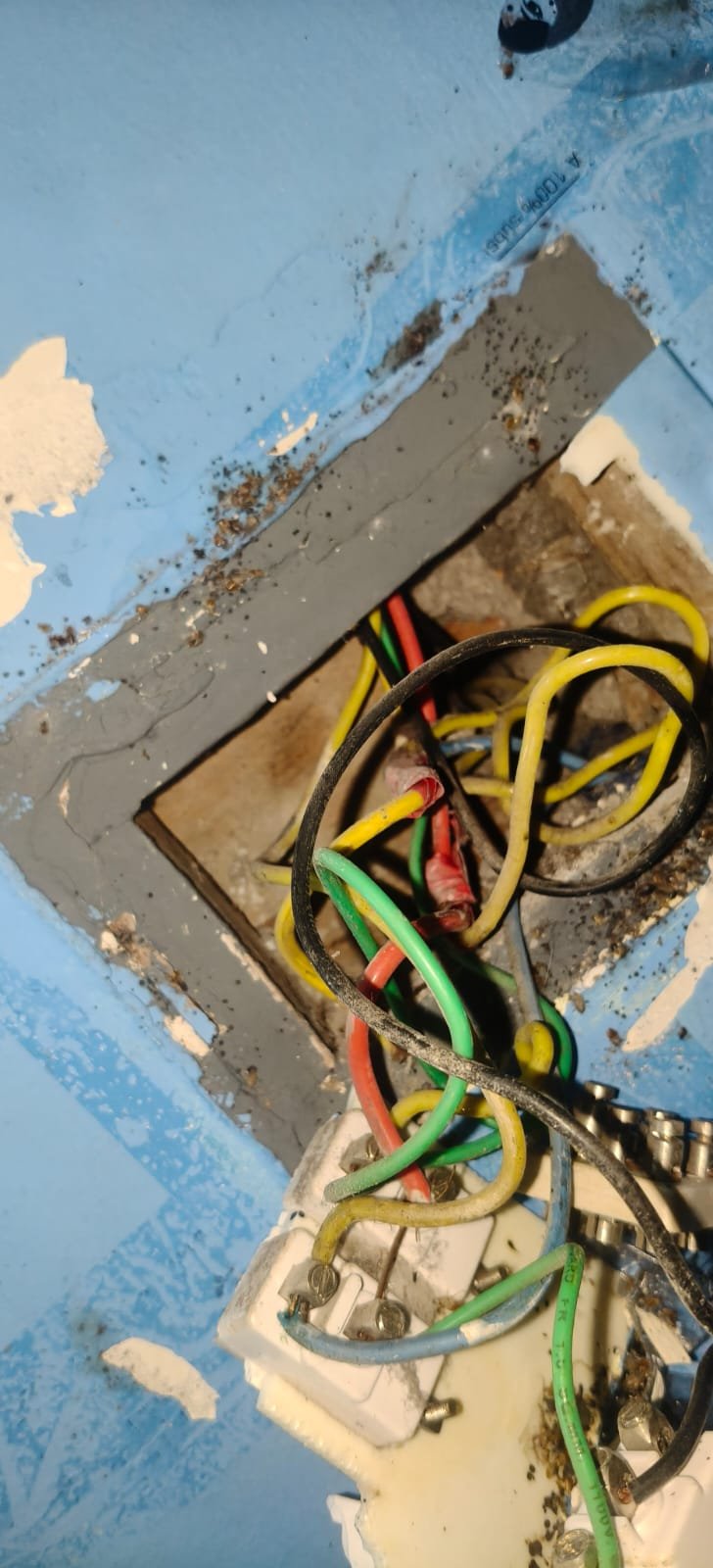 Pest control treatment result Bangalore