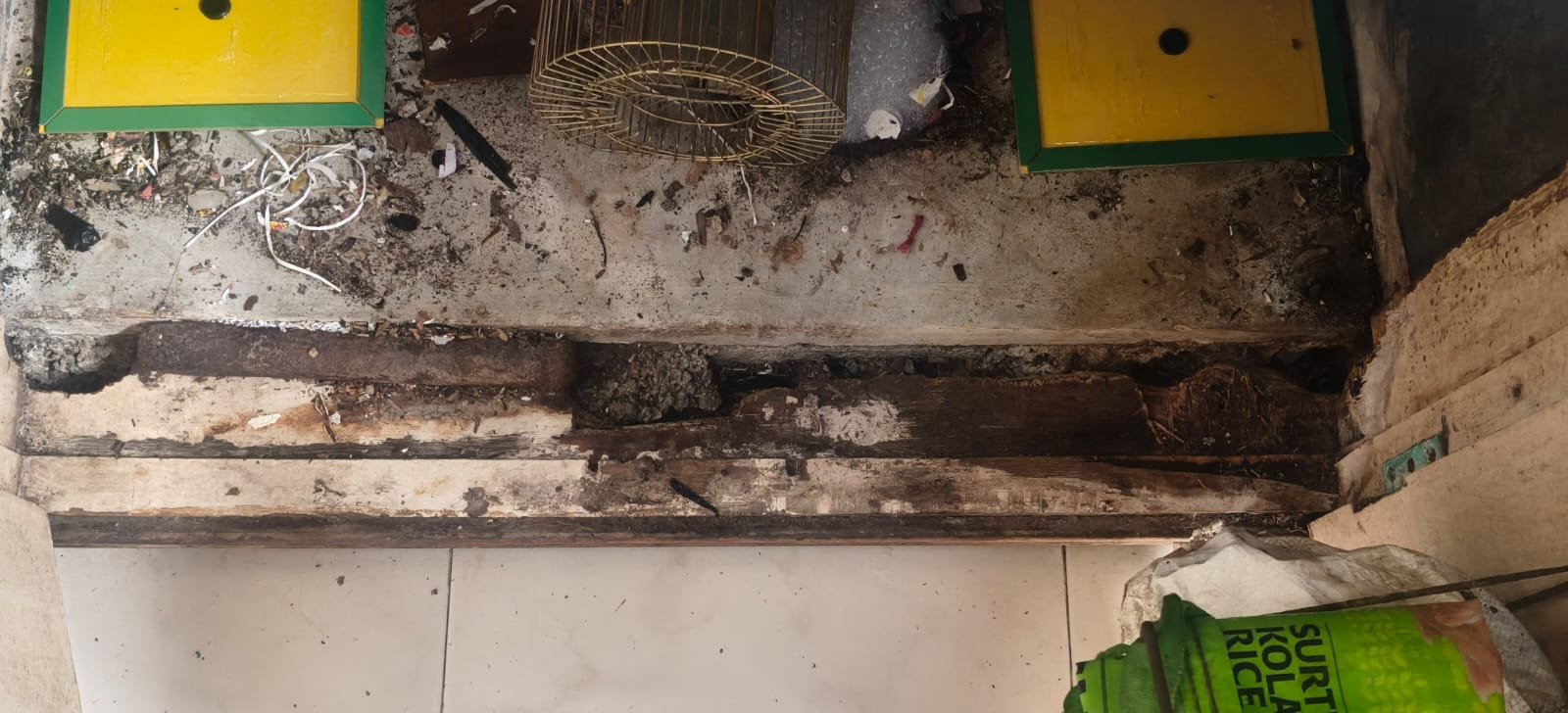Pest control treatment result Bangalore