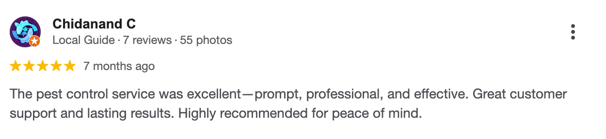 Google Review 2